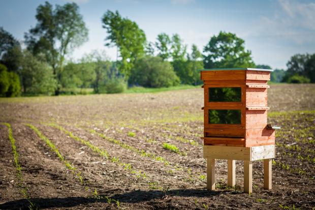 A New Bee Keeper Solution: Thermosolar Hive — “Let sunshine do the work!”