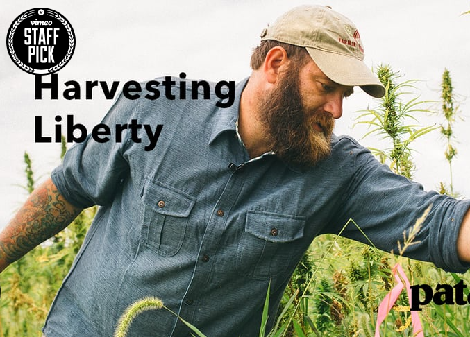 Allow American Farmers and Veterans to Grow Hemp