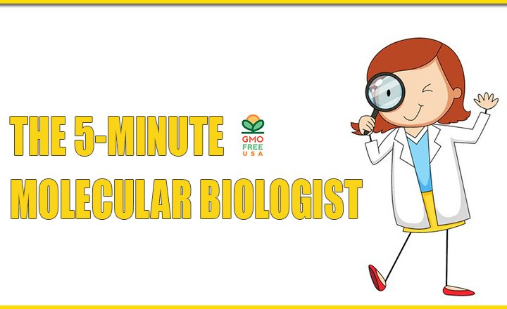 THE 5-MINUTE MOLECULAR BIOLOGIST – THE GENETICS OF GMOS