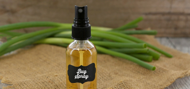 Lemongrass Bug Spray