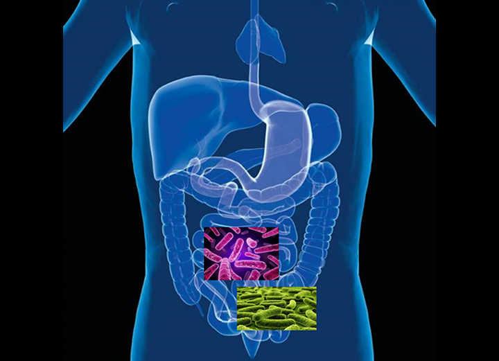 How Our Microbes Make Us Who We Are!