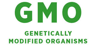 The New GMOs are coming! Watch out for these 3 genetically engineered foods.