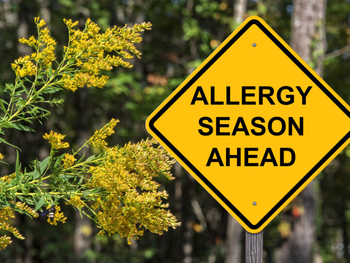 Allergy Problems?